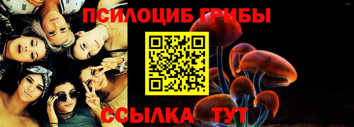 Псилоцибиновые грибы MAGIC MUSHROOMS  Вход с VPN  Зерноград 
